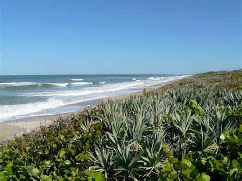 nude beachs florida|12 Nude Beaches in Florida